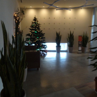 函館洋菓子スナッフルス_2