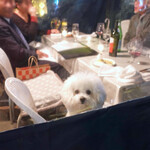 エビスエスクラッシコ - 立派な窓付きの ’お家’〜♬