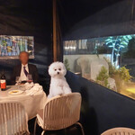 エビスエスクラッシコ - が建っていていました！！