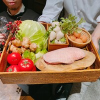 オッジ ダルマット 西麻布店 - 