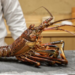 鮨旬美西川 - 超特大伊勢海老