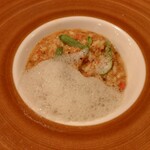 セルサルサーレ - セイコガニのリゾット　マイクロ春菊