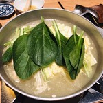 橙 - キレイな野菜たち