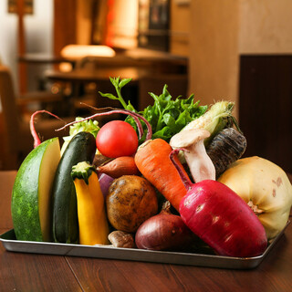 三浦野菜の提携農家さんから毎日届く彩り豊かな季節の新鮮野菜！