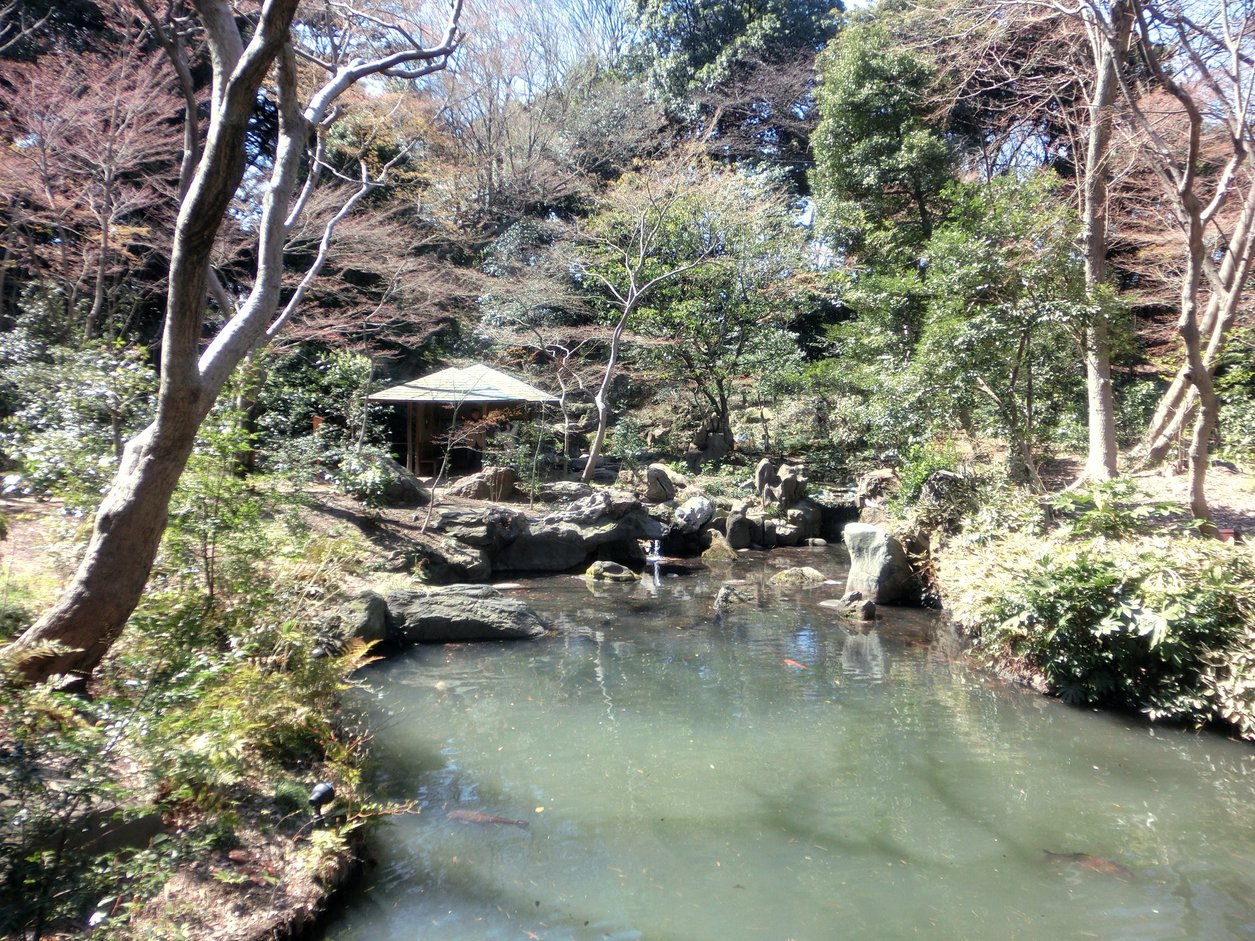 コネリーさんが投稿した六義園 吹上茶屋（東京/駒込）の口コミ詳細 [食べログ] 六義園 吹上茶屋