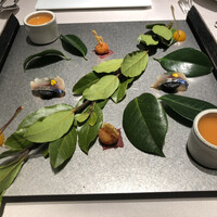 アッシュ - 