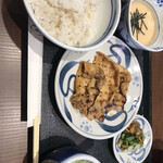 Negishi - 