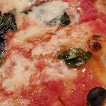 SAVOY とまととちーず店 - 