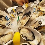 Oyster Bar ジャックポット - 