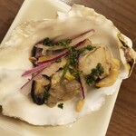 Oyster Bar ジャックポット - 