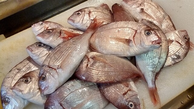 The Photo Of Food Wadatsumi Tabelog