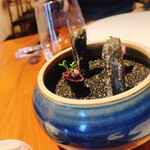 ル スプートニク - 