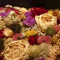 レストランエール - 