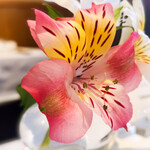 ウシマル - テーブルの花