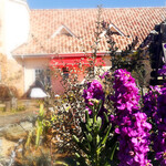 ウシマル - 花壇とお店