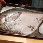 銀座 大石 - フグ