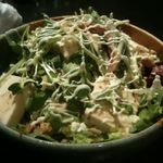 串玄 - サラダ（コース料理）