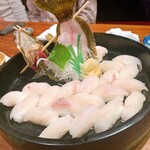釣船茶屋 ざうお - ヒラメのお寿司
