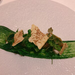 ポンドールイノ - 