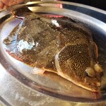 ウシマル - ホシガレイ