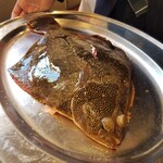 ウシマル - ホシガレイ