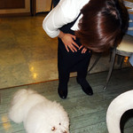 ペッシェ・グロッソ - 優しくして戴きました