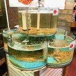 翠園酒家 - 
