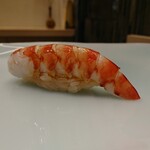 鮨 なんば - 車海老