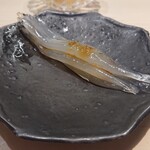 鮨 なんば - しらうお