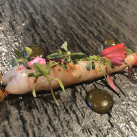 ジョンティ アッシュ - 