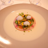 ジョンティ アッシュ - 