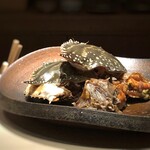 菊鮨 - 渡り蟹（宇部）・・立派な大きさ。日本酒やお醤油、少量の紹興酒で漬けた品。