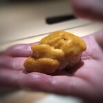 菊鮨 - 馬糞雲丹（厚岸）・・甘いこと。