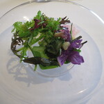 ウシマル - サラダ　大豆の温かいソース