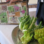 ウシマル - お野菜の説明