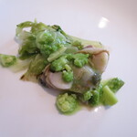 ウシマル - ハマグリのロマネスコソース