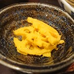 月と亀 - ◎ポリヤル