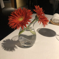 レフェルヴェソンス - 