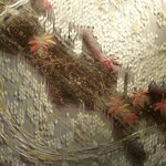 スギモト - 受付フロアー（店内）