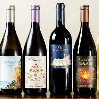 タボラ カルダ ミヤケ_1