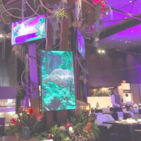 リュクス ダイニング ハプナ - 