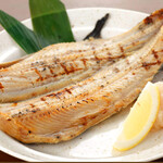 Atka mackerel
