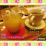 菜食健美 - ◇カチャマテ　ハーブティー◇  　◇青森のストレートリンゴジュース◇