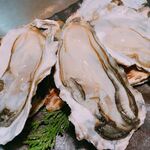[Low appearance rate! 】Raw Oyster in the shell