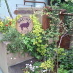 RACINES Boulangerie & Bistro - 