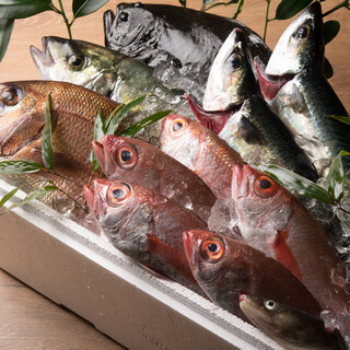 九州全域で水揚げされた魚介類のみを仕入れるこだわり