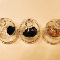Terres de Truffes, Tokyo - 