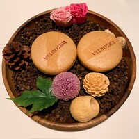 VELROSIER - 