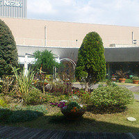 TOOTH TOOTH GARDEN RESTAURANT - 