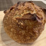 月とカンパニオ - 